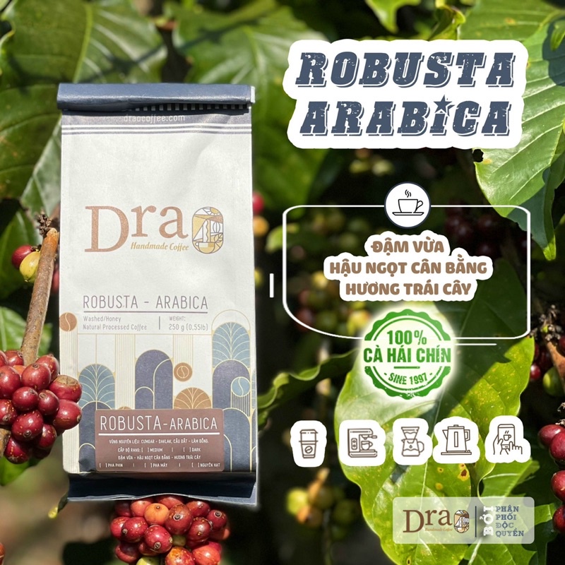 Cà phê Blend Robusta - Arabica - Culi 100% nguyên chất rang mộc, cà phê sạch hữu cơ pha phin, pha máy, espresso