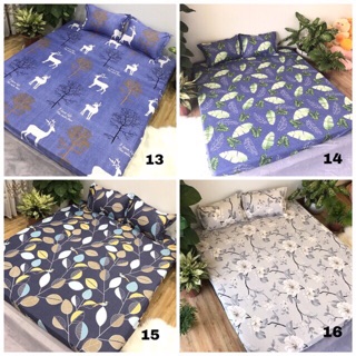 Bộ 1 ga 2 vỏ  gối