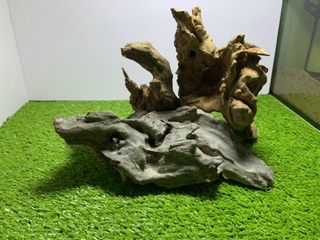 Lũa cho bể thuỷ sinh , bể bán cạn 120k/kg