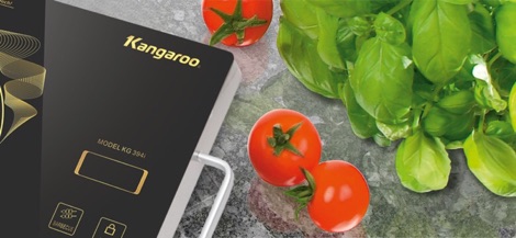Bếp hồng ngoại Kangaroo KG394I