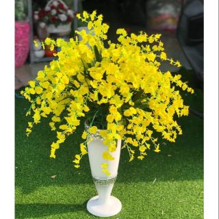 Vũ nữ vải 1 bó 10 cành