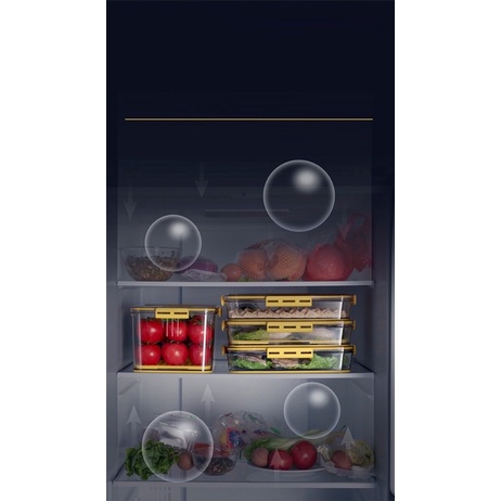 Hộp nhựa đựng thực phẩm, hộp đựng thức ăn tủ lạnh trong suốt có khay lót đáy, nhựa cao cấp, an toàn - Xuất Khẩu EU