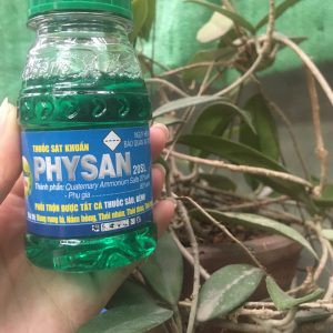 Dung dich chống thối nhũn,sát khuẩn cho lan Physan100ml