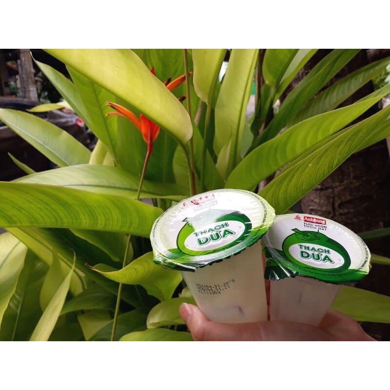 THẠCH DỪA ÁNH HỒNG LỐC 6 LY *90GR | BigBuy360 - bigbuy360.vn