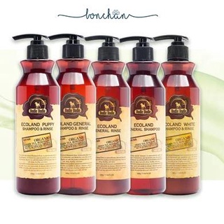 Dầu gội & xả Budle Budle cho chó mọi lứa tuổi chai 500ml