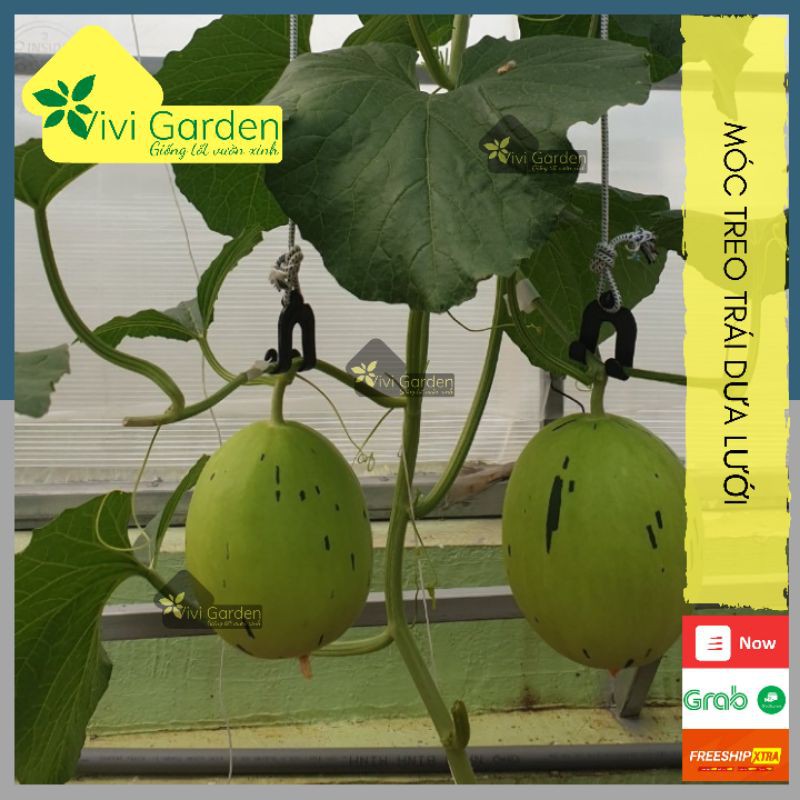 Combo 500 gram (Khoảng 100 cái) Móc treo trái dưa lưới, dưa lê, dưa kim,...cao cấp chuyên dụng, tái sử dụng