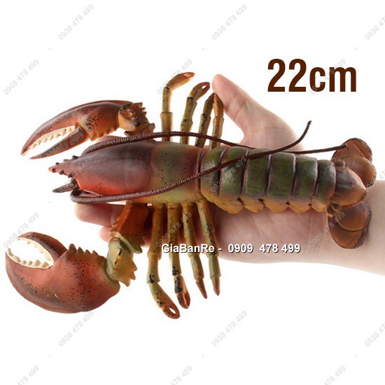 Mô Hình Tôm Hùm Tôm Càng Lobster - 7676