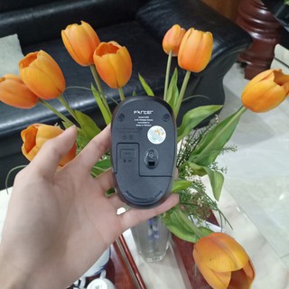 Chuột không dây FORTER V899