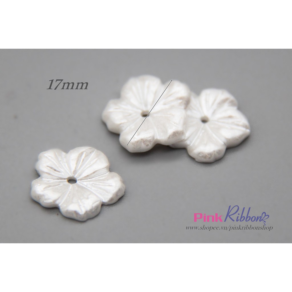 Hoa trai size lớn - Set 10c