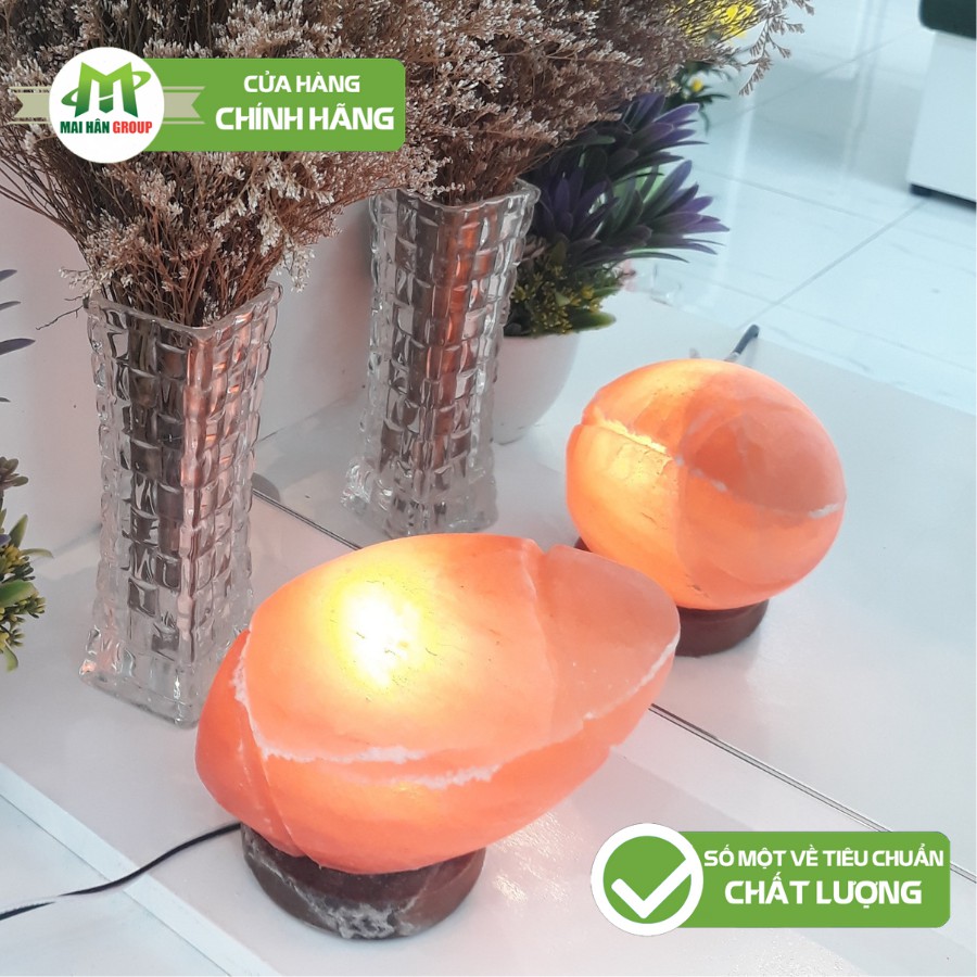 Đèn Đá Muối Himalaya Trang Trí Hình Bóng Bầu Dục