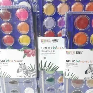 Màu nước khô dạng nén Solid Watercolor