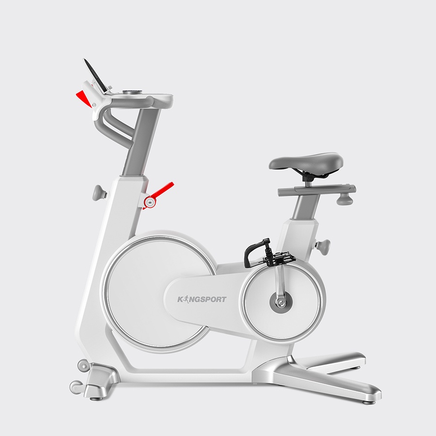Xe đạp tập thể dục tại nhà Kingsport BK-5813 tải trọng tối đa 120kg, tích hợp đồng hồ thông minh đo các thông số khi tập