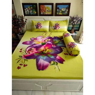 Bộ drap thun Ý 5D 1m6*2m, nhiều màu