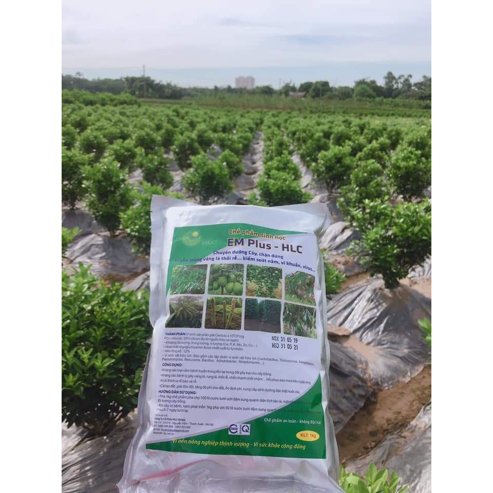CHẾ PHẨM EM PLUS – HLC - Chuyên dưỡng cây, chặn đứng tuyến trùng, vàng lá thối rễ…kiểm soát nấm vi khuẩn…virus