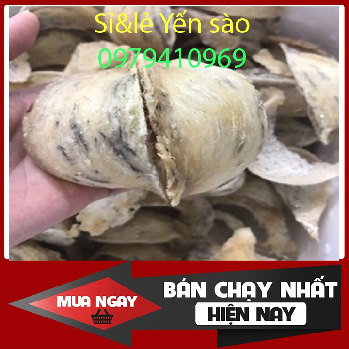 yến sào thô 20gr nguyên chất Tặng táo đỏ, hạt chia, đường phèn. Tổ yến sào