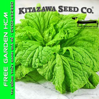 Combo 1200 hạt giống cải chirimen hakusai – kitazawa – mỹ