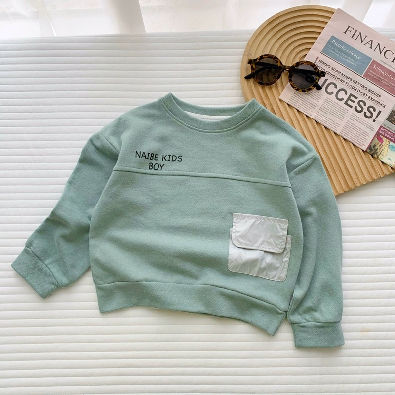 Áo thu đông dài tay nỉ da cá cho bé trai mặc đi học đi chơi