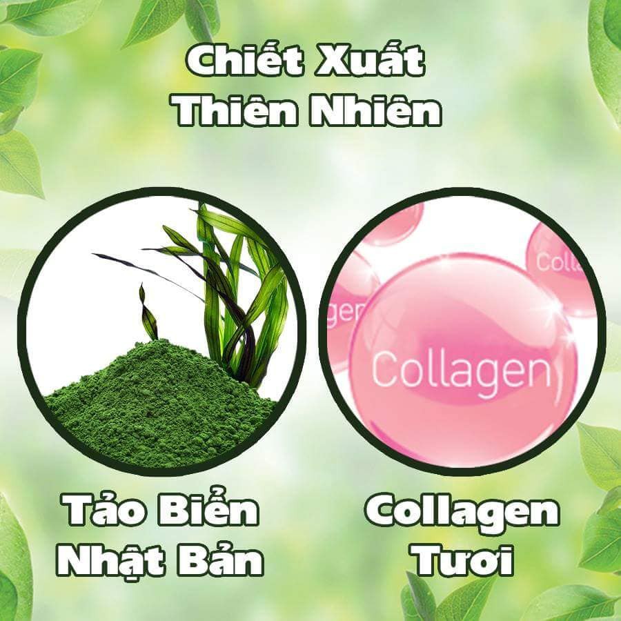 Tắm trắng COLLAGEN tươi tảo biển Nhật Bản Lavenza