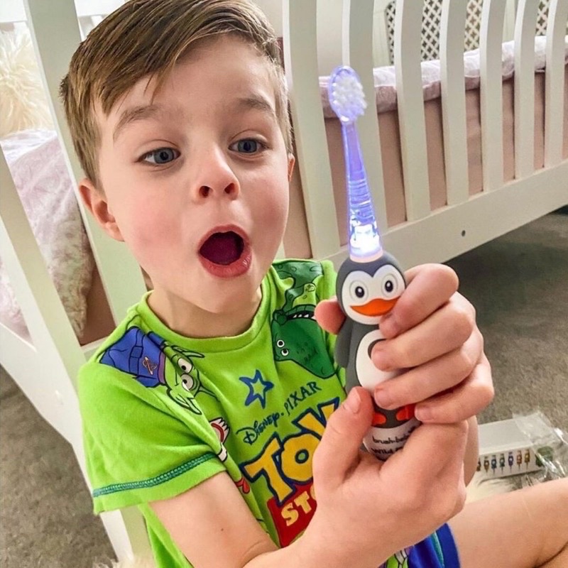 BÀN CHẢI ĐIỆN SÓNG ÂM BRUSHBABY WILDONES