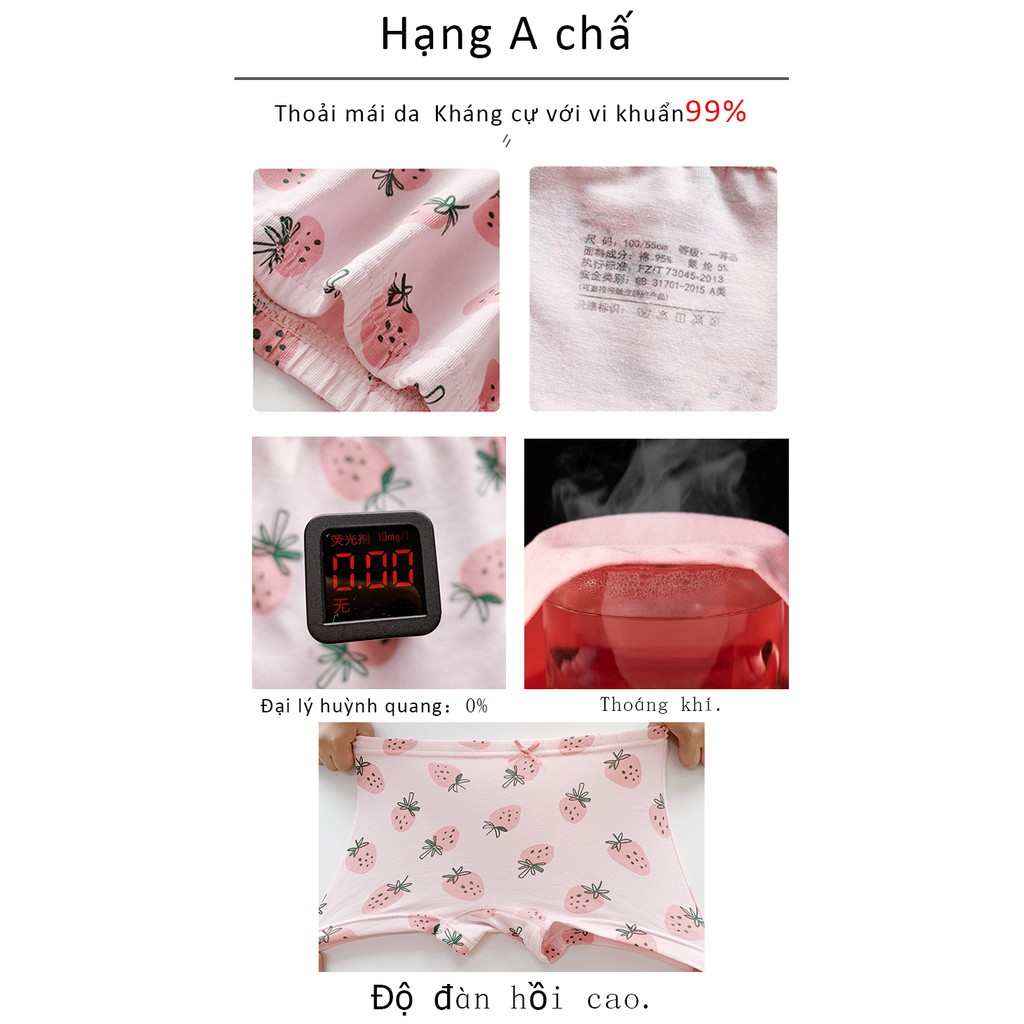 Set 5 quần lót cotton in họa tiết trái cây dễ thương cho bé gái