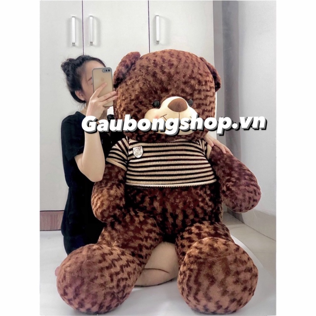 [Mã LIFEXANH03 giảm 10% đơn 500K] Gấu Bông To Gấu Bông Teddy Siêu To Khổng Lồ Quà Tặng Siêu Đáng Yêu Gấu Xinh - G11