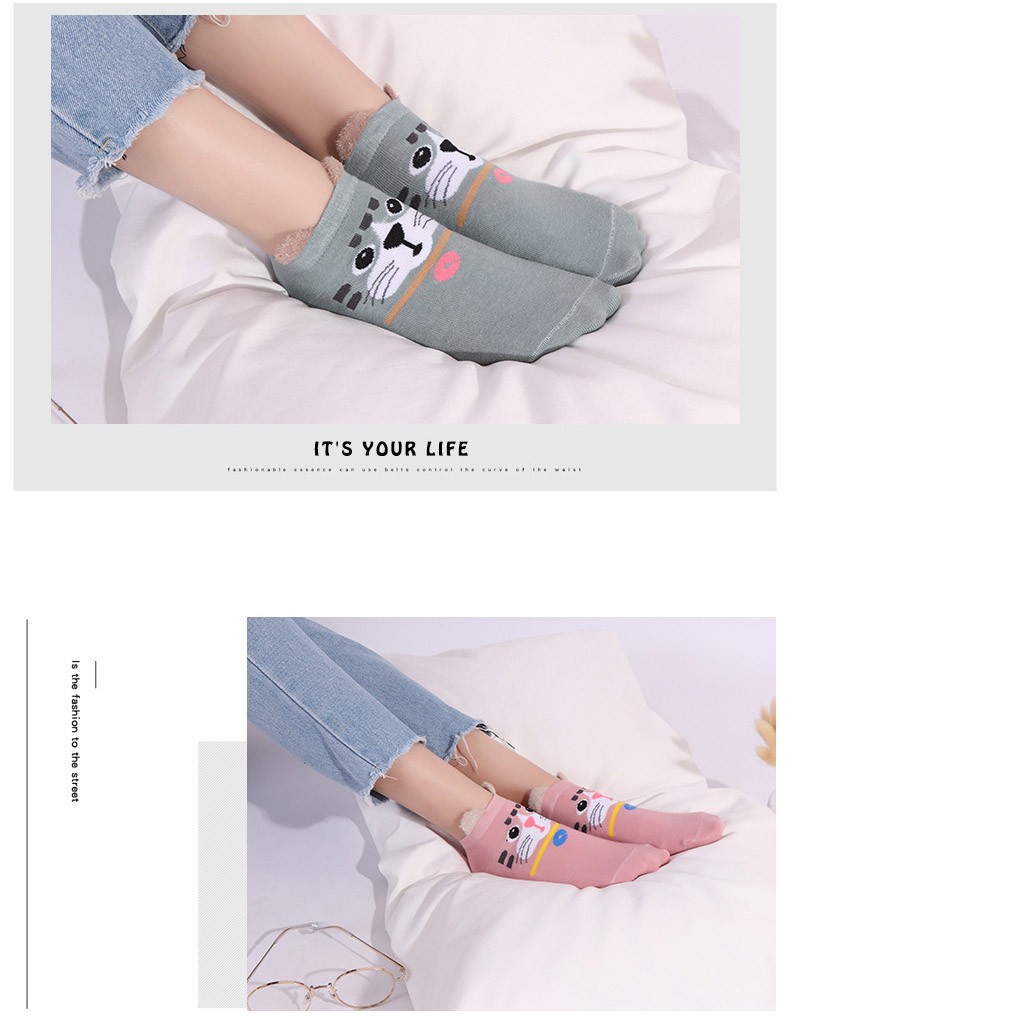 Combo 05 đôi tất / vớ nam/nữ cao cấp có hộp đựng (Loại 1)