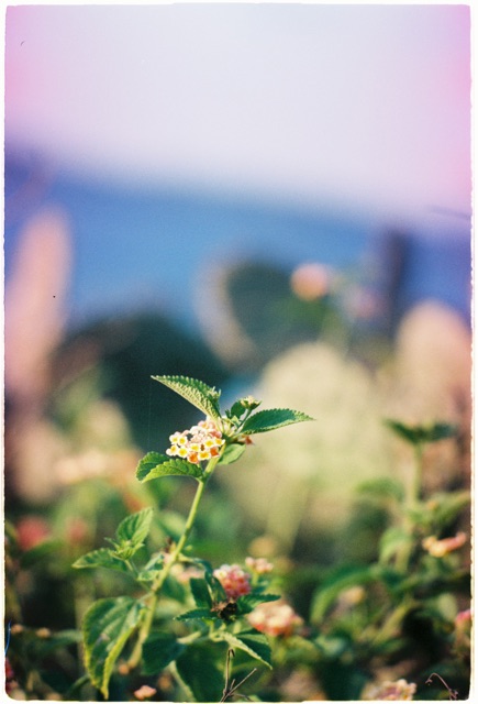 [Hanoi Film] Phim Truprint