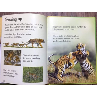 Usborne Beginners Series Science Collection 10 Books.