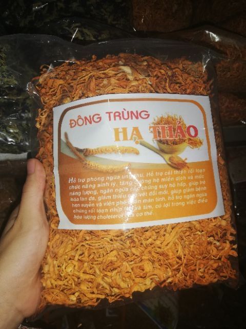 Đông Trùng Hạ Thảo