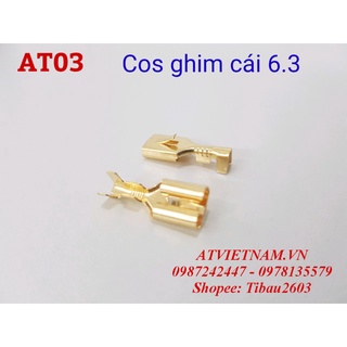 Cos Cái Ghim 6.3 - AT03 ( 1 bịch/50 cái)
