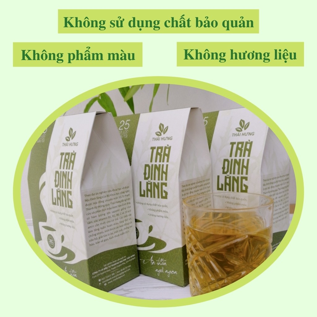 Trà Túi Lọc Đinh Lăng Thái Hưng, giúp An Thần Ngủ Ngon, Trà Thảo Dược Thiên Nhiên (25 túi lọc x 5g) | BigBuy360 - bigbuy360.vn