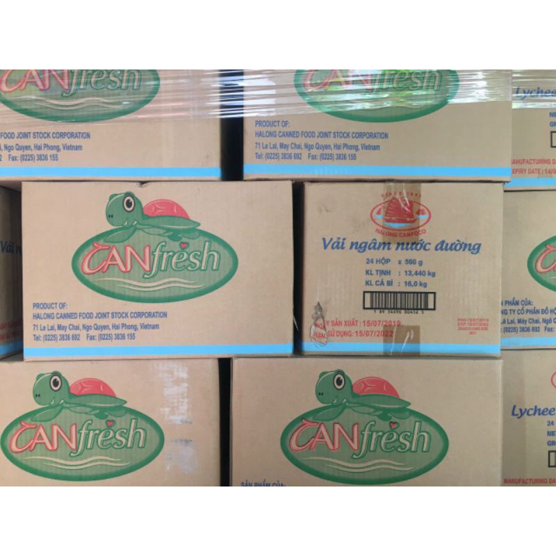 Vải Thiều Ngâm Nước Đường Hạ Long Canfish Lon Nắp Bật 560gr | BigBuy360 - bigbuy360.vn