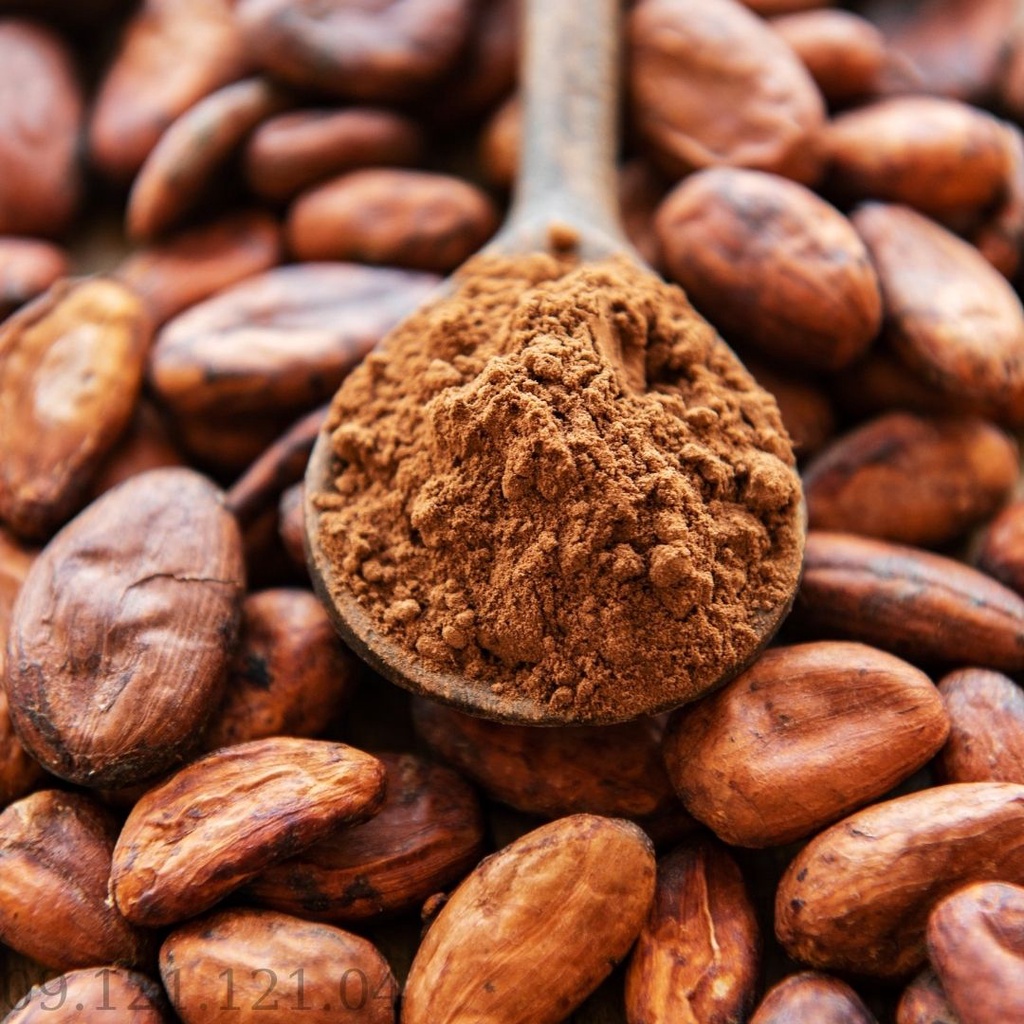 (HT) cacao-bột cacao nguyên chất 100%