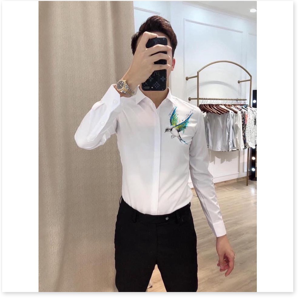 Áo sơ mi nam hàn quốc chuẩn shop, in thêu họa tiết độc đáo hot trend HP