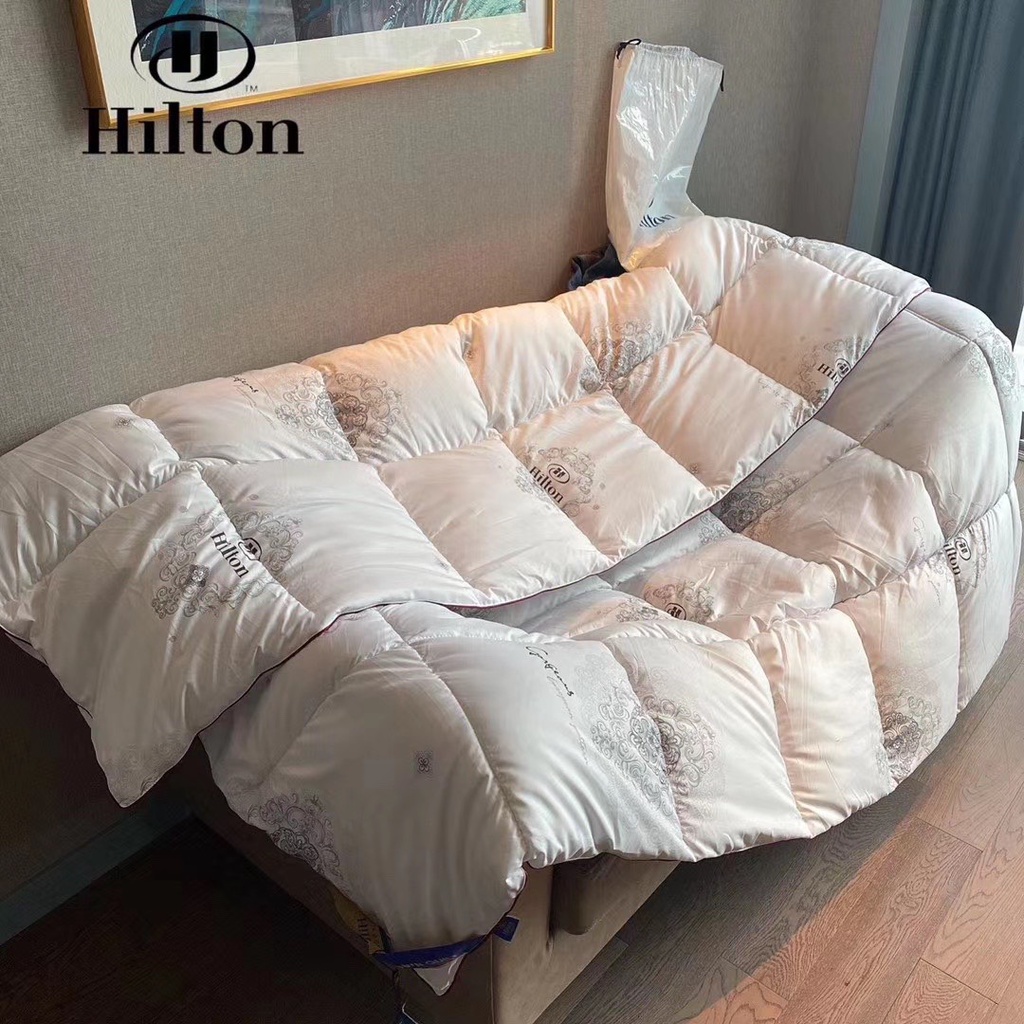 RUỘT CHĂN| RUỘT CHĂN HILTON LÔNG VŨ SIÊU NHẸ