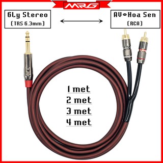Dây 6 Ly Stereo Ra 2 AV/Hoa Sen, dài 1m-2m-3m-5m-8m-10m (TRS to 2 RCA)