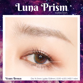 áp tròng VENUS BROWN - HSD 1 NĂM [NHẮN TIN CHECK ĐỘ CẬN TRƯỚC KHI ĐẶT]