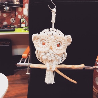 Cành gỗ tự nhiên làm chân Cú 🦉Macrame