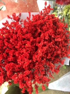 com bo 5 bó hoa sao nhuộm