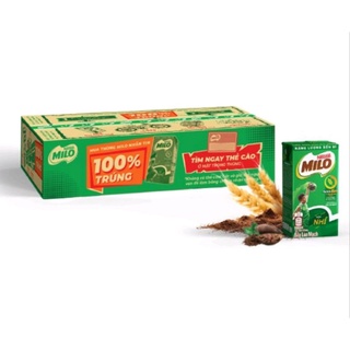 Sữa lúa mạch Nestle Milo thùng 48 hộp x 115 ml
