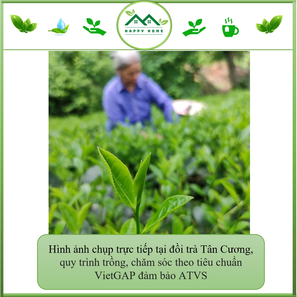 Trà búp Tân Cương Thái Nguyên,  trà  búp Tân Cương trà xanh chuẩn VIETGAP trà sạch 100%