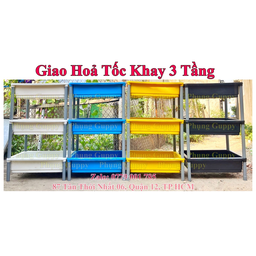 Giao Hoả Tốc Bộ Khay Nhựa 3 Tầng Nuôi Cá, Trồng Rau 65x42x16