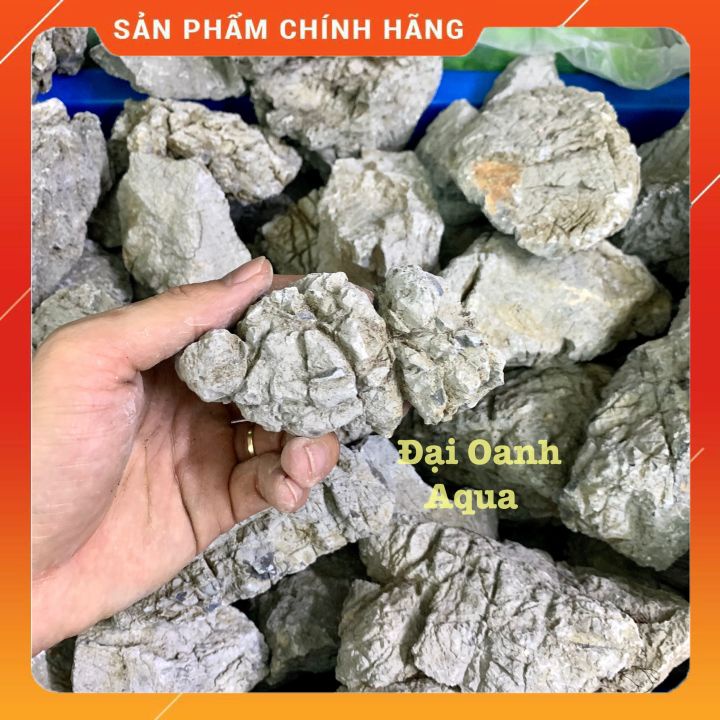 1Kg Đá Da Voi Setup Bể Cá, Trang Trí Bố Cục Bể Cá Thủy Sinh
