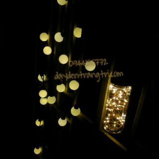 Combo 1 dây đèn đom đóm và 1 dây đèn globestring light loại to