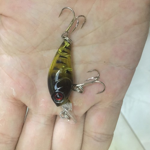 mồi câu , mồi chupi