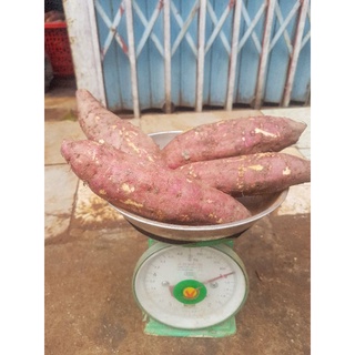Combo 5kg khoai lang mật Đà Lạt