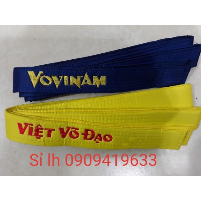 Đai màu Vovinam