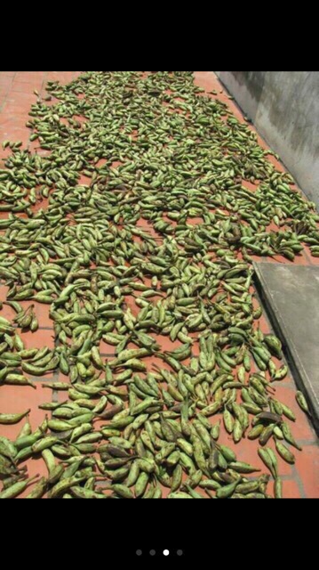 Chuối Rừng Khô Thái Lát 1Kg