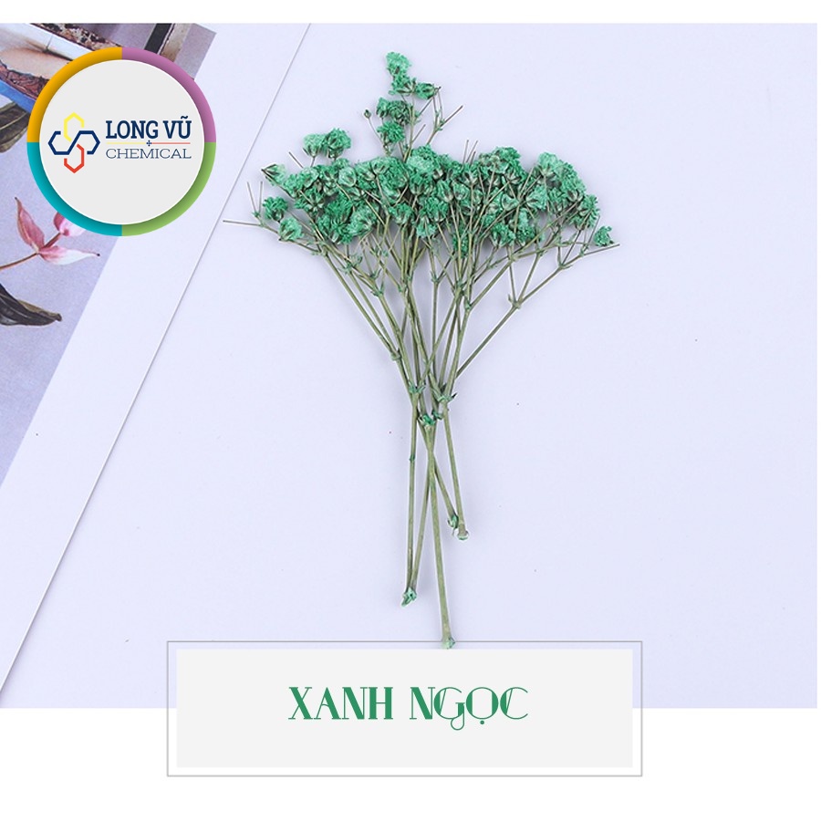 Set Hoa Sao Khô 7 Màu - Nguyên Liệu Dùng Làm Trang Trí- Thủ Công Handmade