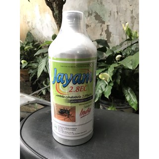 Thuốc diệt muỗi ruồi gián Jayam 100ml diệt muỗi kiến gián hiệu quả không mùi chai nhôm